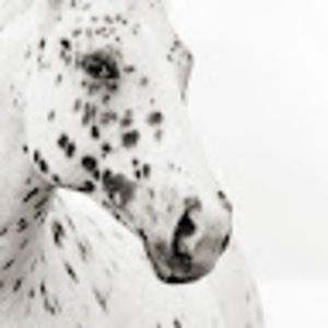 Meet your Posher, Joanna